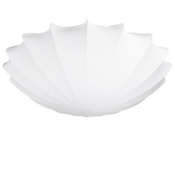 Camellia plafond, diameter 80 cm, Hvit