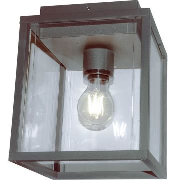 Finestra taklampe, Antrasitt