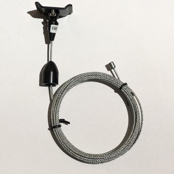 Vox wireoppheng, Sort