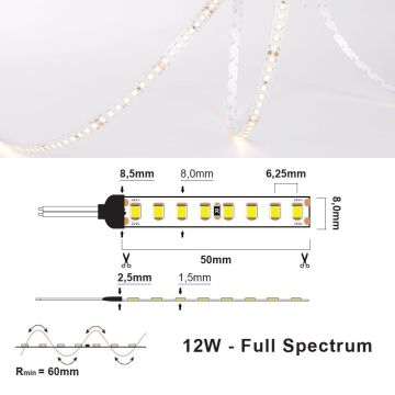 LED Strip 24V IP20 4000K 12W/m - Full spectrum, 5 meter pakke