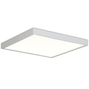 Piatto ramme 60x60 cm, hvit