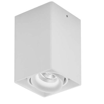 Light House 1 utenpåliggende downlight, dimbar LED 860lm CRI>90, Hvit