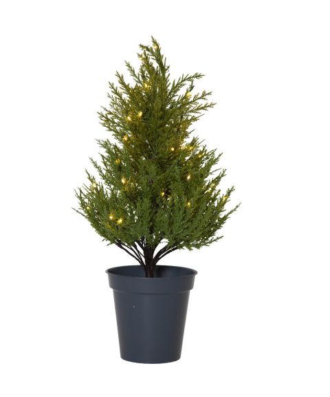 Thuja dekorasjonstre i potte, Høyde 55 cm, varmhvit LED (x40), Grønn